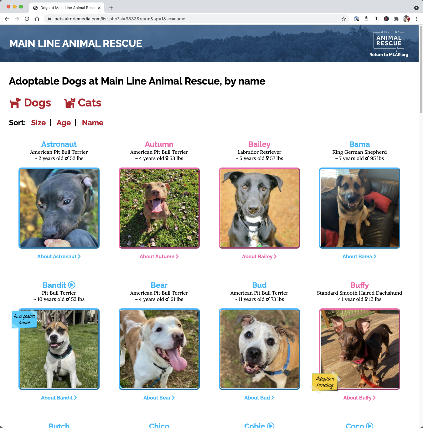Pet listings on the MLAR.org website